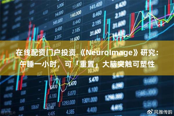 在线配资门户投资 《NeuroImage》研究：午睡一小时，可「重置」大脑突触可塑性